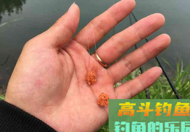 野钓鲤鱼配饵方法，既提升状态又能增强广谱性
