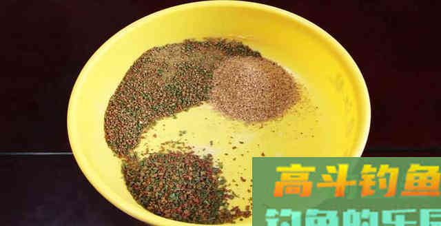钓鱼用饵常见5大误区，不想空手而归，看完建议改