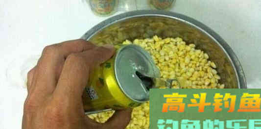 不同的啤酒钓鱼，用法和目标鱼是不同