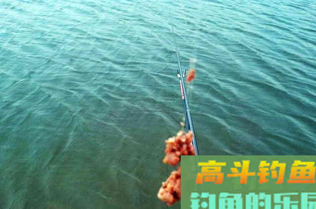 不会打窝的看过来，正确打窝用少量窝料诱多鱼