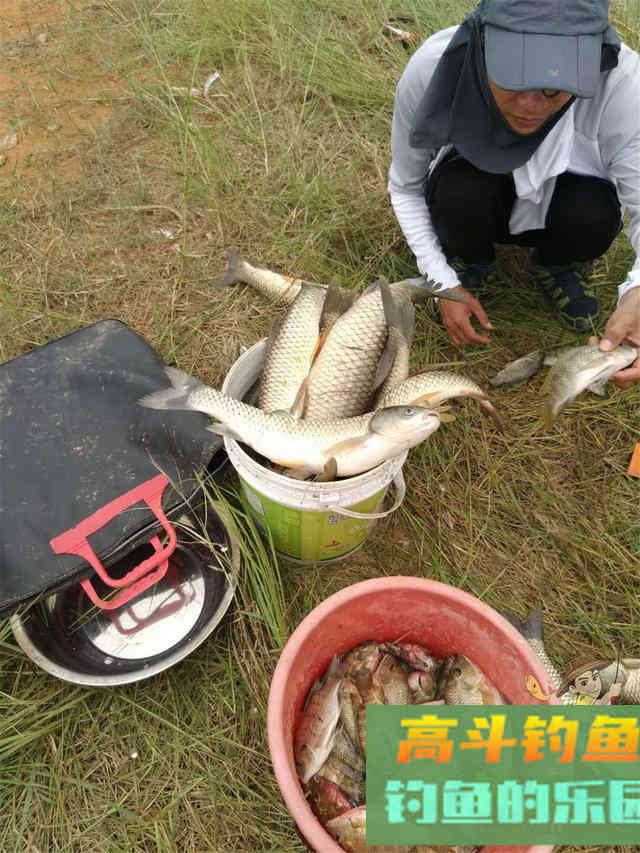 自制快速诱大物的方案，打窝的量重要方法同样重要