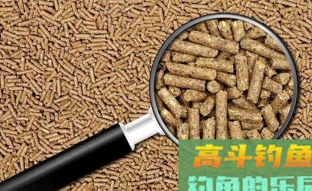 一套看似外行的装备，却演绎出饲料钓鱼的精髓