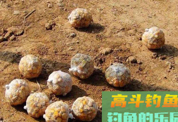 要想钓得多，必得先打窝，教你打什么窝，怎么打