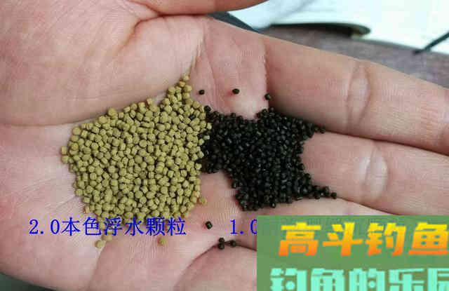 浮水颗粒钓鱼的精髓，粒径的混搭才是法宝，非味型好