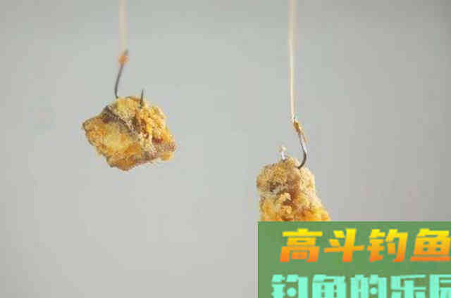 三伏天钓鲫鱼鲤鱼的红薯饵料配方，实测效果佳