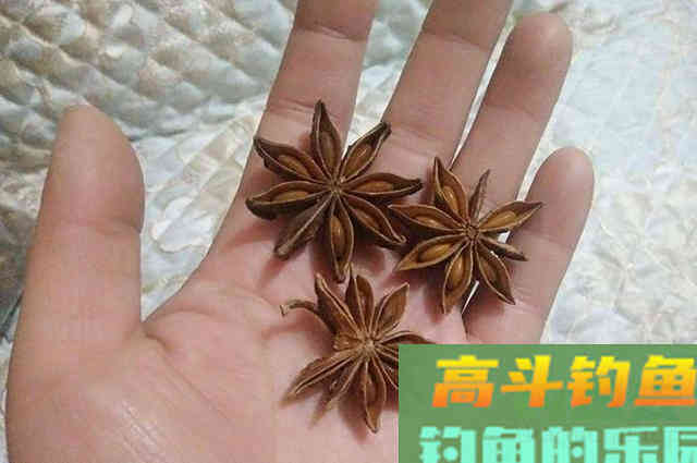 自制钓鱼发酵小麦饵，秋钓鲫鱼必备