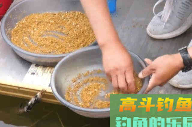 饵料中的油脂，不起眼，但这才是诱鱼开口的主因之一