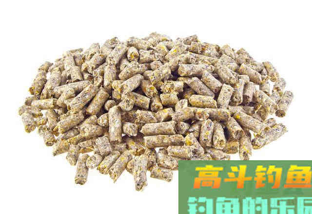 鸡鸭饲料，为什么都是打窝的好东西，原因是这几点