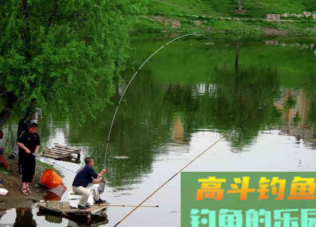 钓鱼小药诱鱼快聚鱼多，制作简单成本低