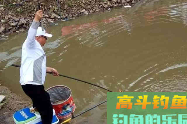 如何灵活用饵？正确搭配钓鱼用饵的腥与香