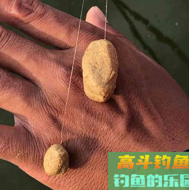 要池钓滑鱼更有效，区别3个配方的用法是诀窍