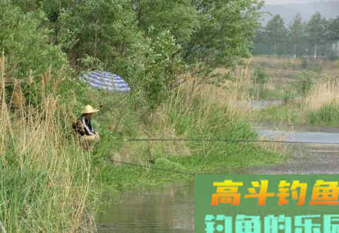 高温天气钓鱼这样搭配饵料和小药