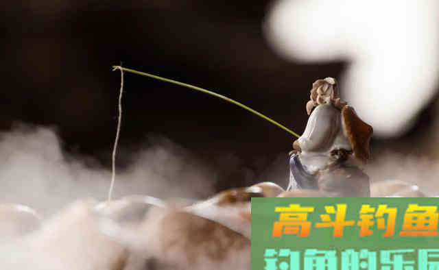 用鸡饲料钓鱼的一些技巧，垂钓诱鱼非它不可