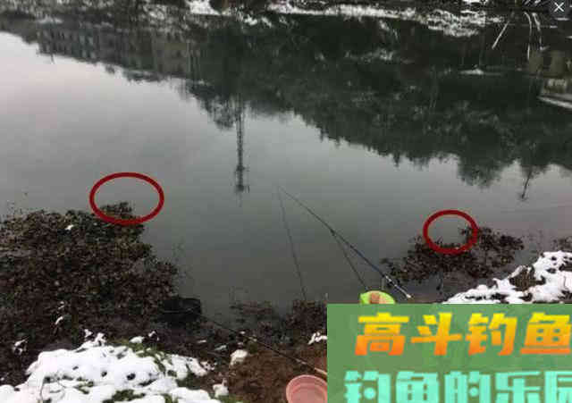 为什么打了窝子，守一天一条鱼也钓不到？