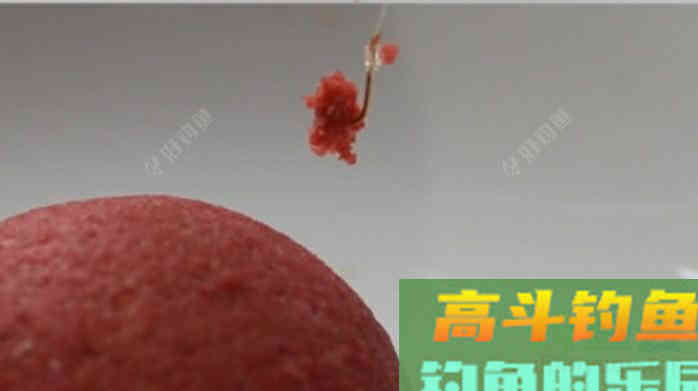 早春钓鱼的用饵技巧