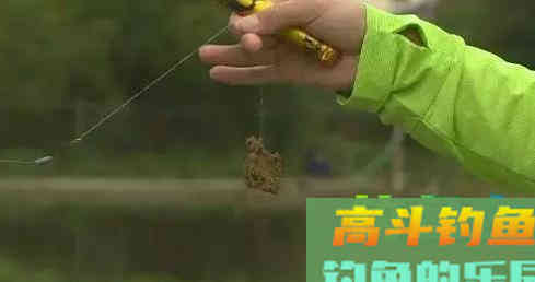 白酒和啤酒如何来制作饵料，秘制酒饵库钓有奇效