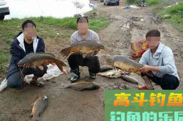 玉米粒窝料和钓饵的制作方法，特别适合大水面