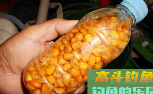 野钓大草鱼的自制饵料，里面加的东西就能专钓大草鱼