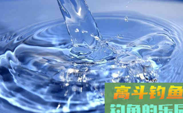 开饵水号称不死窝的小药载体，却为何更像一瓶饮料