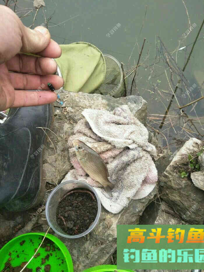 浅谈我的多种蚯蚓养殖方法
