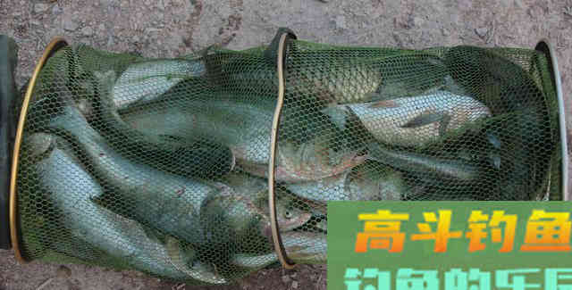 花露水做饵料，红虫也比不上，效果好的很