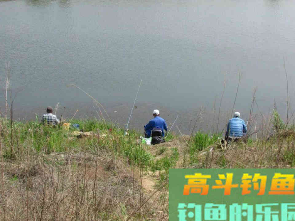 高温天气钓鱼这样搭配饵料和小药