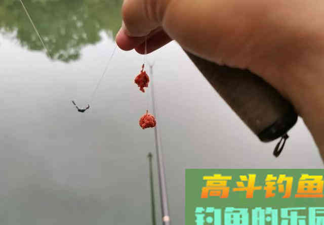 6款适合新手钓鲫鱼的饵料，无需搭配，单开就好用