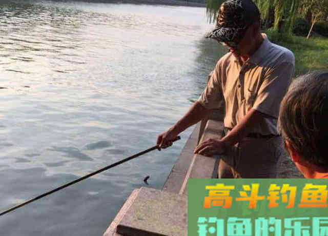 万能鱼饵非蚯蚓莫属？不，还有苍蝇也可以钓鱼