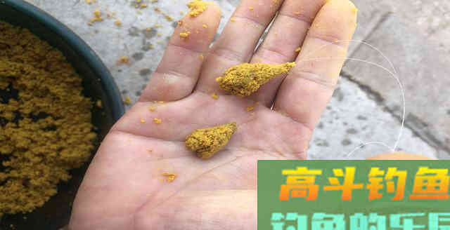 要想渔获多，掌握5个开饵原则，3个注意事项