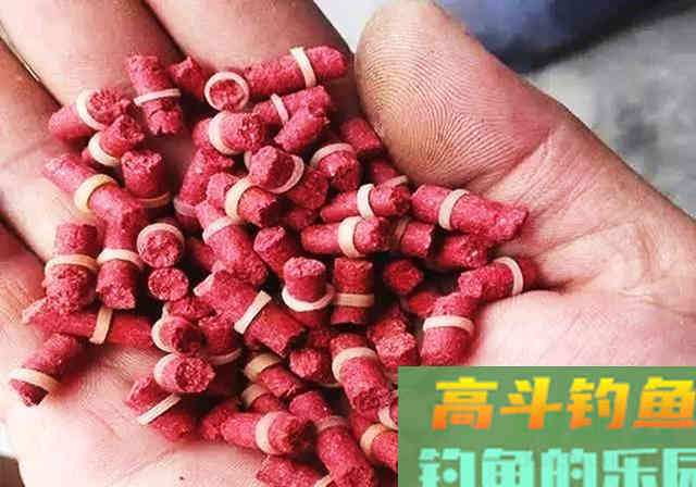 用不完的饵料不要扔，老司机推荐4种另类用法