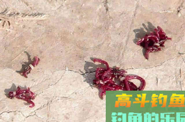 自从学会这3招，咬钩率不是一般的高