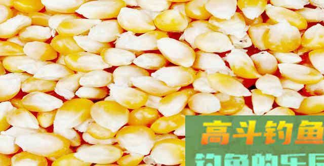 自制重口味窝料配方分享，湖库钓大鱼必备