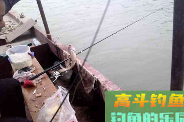 火腿肠也能钓鱼？用白酒、红糖、氨基酸泡制后，有效