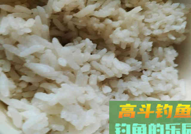 下脚料看似与鱼无关，拿来做窝料，穿透力强诱鱼效果好