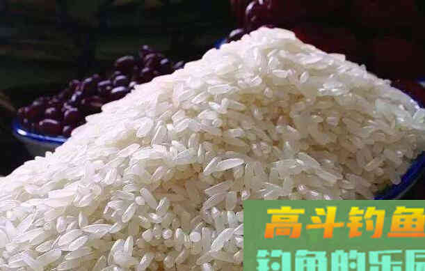 纯大米如何才能只做窝料？我来教你