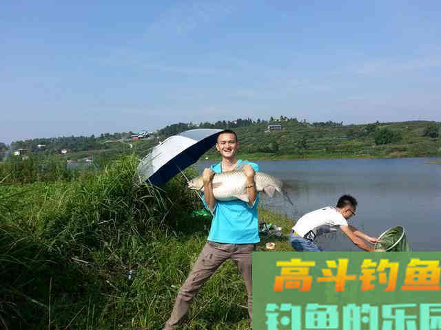 3种鱼的打窝方法，鲤鱼草鱼和武昌鱼的窝料
