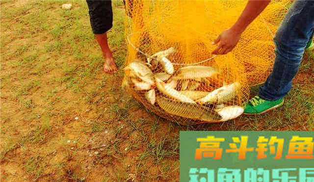 要想下杆就有鱼上钩，你可以试试这样打窝