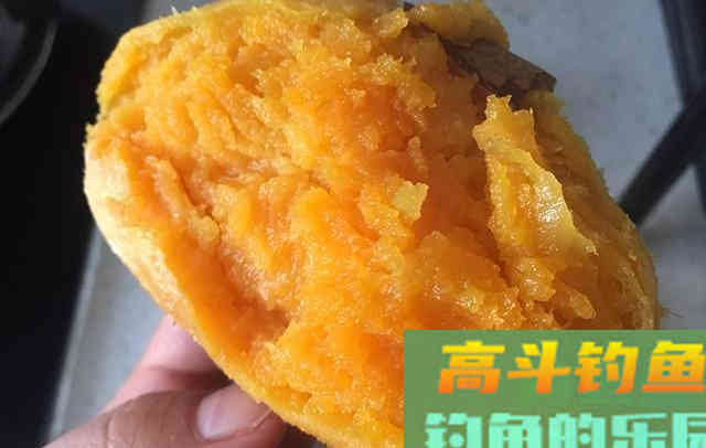 剩菜剩饭不要扔，拿来做窝料，诱鱼效果不比买的差
