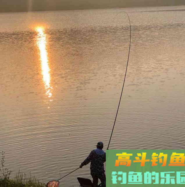 没用完的饵料我从来不扔，发酵了的鱼饵好处多着呢
