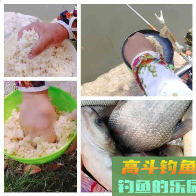 有人说豆渣钓鲢鳙不好用，我不服，学会这样用你再试试看