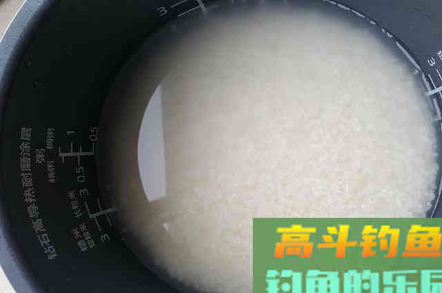 米饭饵怎么制作？米饭饵适合什么鱼情