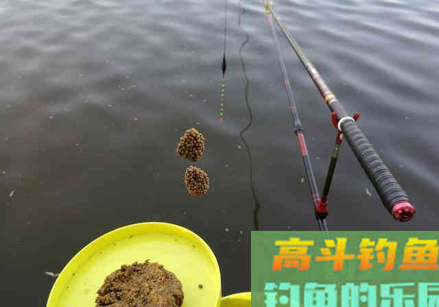 一套看似外行的装备，却演绎出饲料钓鱼的精髓