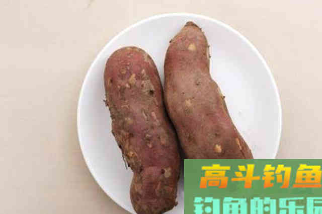 窝料配方，四季钓鱼打窝都能用