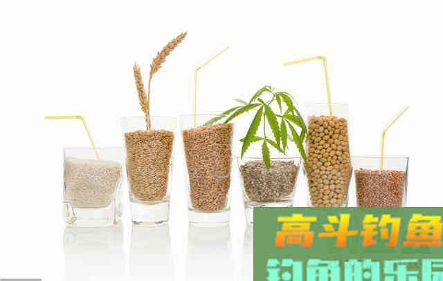 野钓饵料不一定越腥越好，浓引淡钓？分析鱼情才能钓好鱼