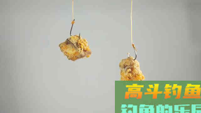 野生鱼儿可不一定喜欢渔具店里卖的饵，得看水里有啥