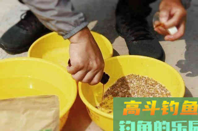 钓鱼用饵，加小药就是个坑？告诉你正确的打开方式