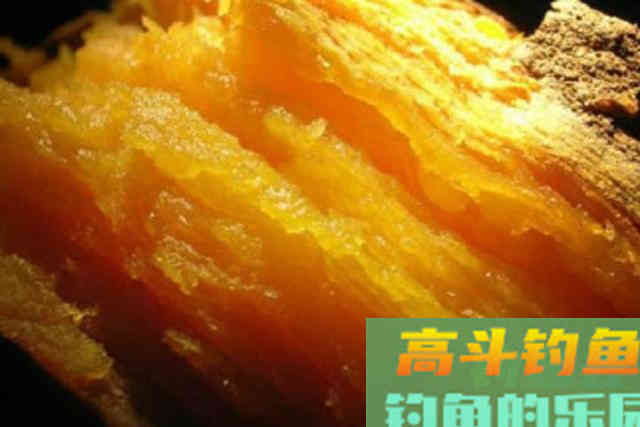 钓点鱼泡不断，窝子里鱼花四溅，就是没有鱼咬钩