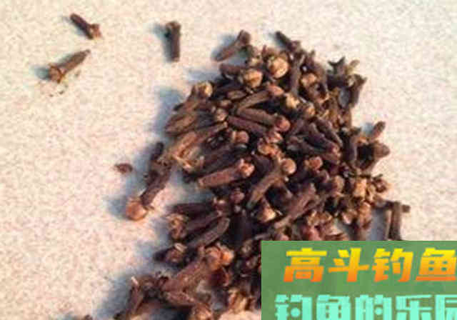 加工一下麦粒，不仅能钓鲫鱼，鲤鱼草鱼也能钓