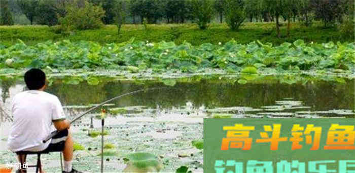 窝里明明有鱼就是不吃钩，高手告诉你怎么办
