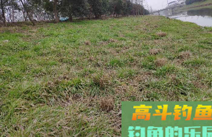 早春钓鱼的用饵技巧